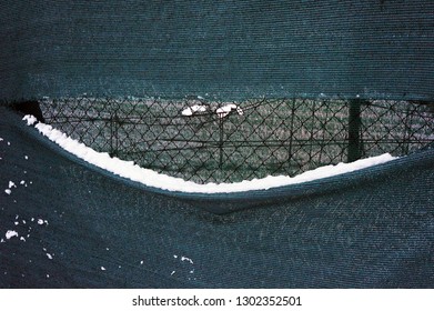 Funny Smile Created By A Big Hole In Net And Pieces Of Snow On Fence. Anthropomorphic Smiley Face.