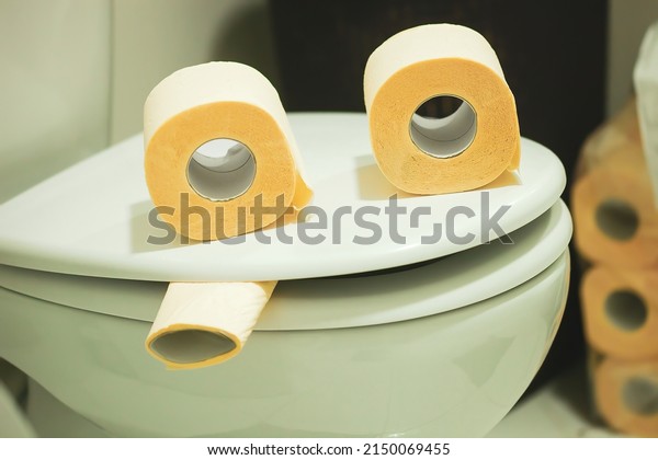 Funny smoking face made from toilet paper\
rolls on toilet bowl. Crazy anthropomorphic smiley face in domestic\
bathroom. Home craft smiling smoker emoticon in lavatory by white\
wall background