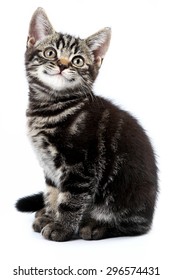 Funny striped kitten sitting and smiling (isolated on white) - Shutterstock ID 296574431