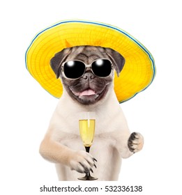 Funny summer dog in sunglasses with a glass of champagne. isolated on white background