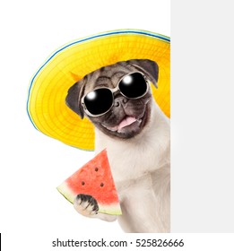 Funny Summer Dog With Sunglasses Holding Watermelon And Peeking From Behind Empty Board 