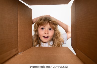 Funny Surprised Shocked Child Boy Is Opening Gift And Looking Inside Cardboard Box. Kid Opening Package.