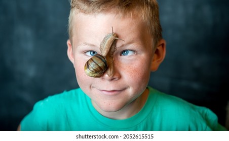 Funny Time With Home Pet Snail. Snail On Face. Child Play With Animal. Kid Looking On Snail On His Nose And Squint His Eyes.