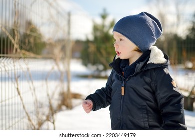 Funny Toddler Boy Having Fun Outdoors On Chilly Winter Day. Child Exploring Nature. Winter Activities For Small Kids.