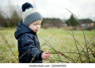 Funny Toddler Boy Having Fun Outdoors On Chilly Winter Day. Child Exploring Nature. Winter Activities For Small Kids.