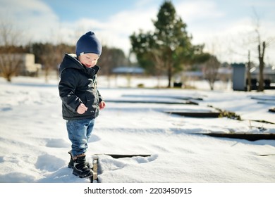 Funny Toddler Boy Having Fun Outdoors On Chilly Winter Day. Child Exploring Nature. Winter Activities For Small Kids.