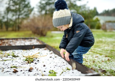 Funny Toddler Boy Having Fun Outdoors On Chilly Winter Day. Child Exploring Nature. Winter Activities For Small Kids.