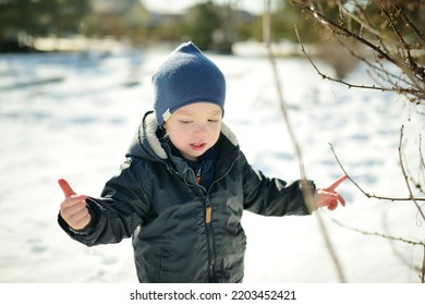 Funny Toddler Boy Having Fun Outdoors On Chilly Winter Day. Child Exploring Nature. Winter Activities For Small Kids.