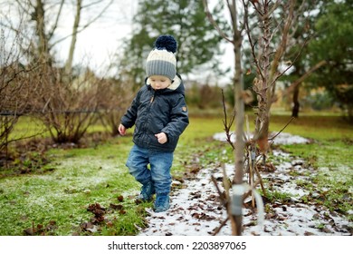 Funny Toddler Boy Having Fun Outdoors On Chilly Winter Day. Child Exploring Nature. Winter Activities For Small Kids.