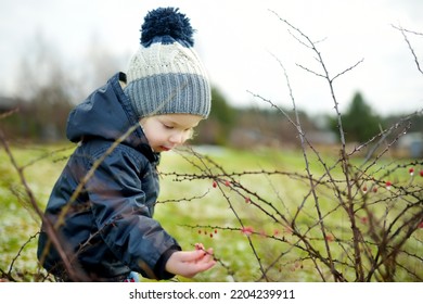 Funny Toddler Boy Having Fun Outdoors On Chilly Winter Day. Child Exploring Nature. Winter Activities For Small Kids.