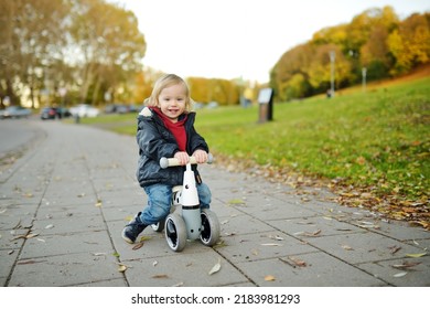 Funny Toddler Boy Riding A Baby Scooter Outdoors On Autumn Day. Kid Training Balance On Mini Bike In A City Park. Child Exploring Nature. Autumn Activities For Small Kids.