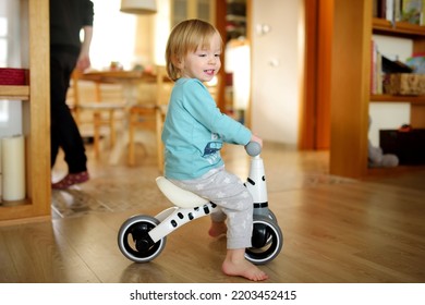 Funny Toddler Boy Riding A Baby Scooter At Home. Kid Training Balance On Mini Bike Indoors. Activities For Small Kids.