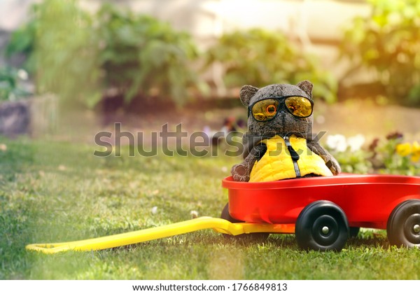 A funny toy
cat sits in a plastic car in a sunny meadow in yellow sunglasses
and in a vest. The concept of vacation vacations, unwillingness to
work. Copy space for text