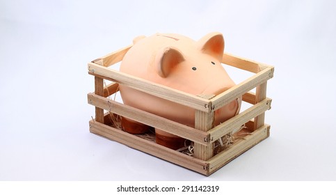 Funny Toy Figure, A Pinky Pig Money Bank