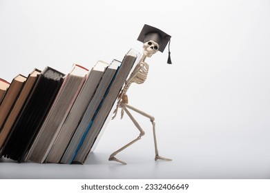 a funny toy skeleton props up a stack of textbooks