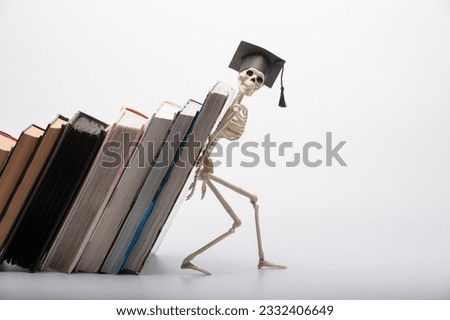 a funny toy skeleton props up a stack of textbooks