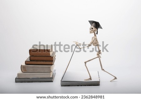 a funny toy skeleton props up a stack of textbooks