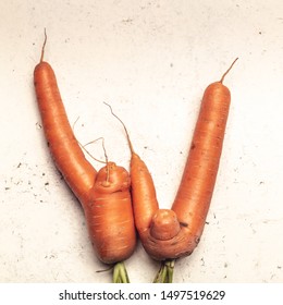 Funny Ugly Carrots On Threadbare White Surface