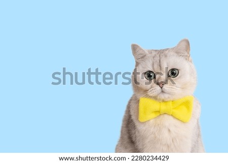Funny white cat in yellow bow tie, on a light blue background