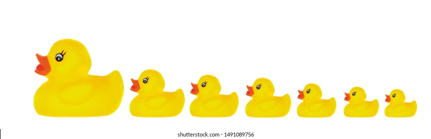 funny rubber ducky