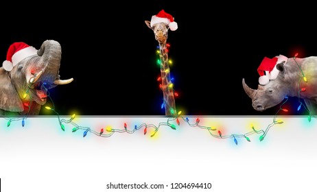 Funny zoo animals hanging string of illuminated Christmas holiday lights over a blank white sign with room for text