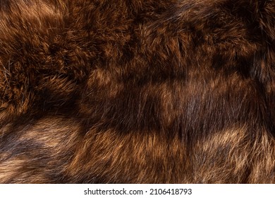 The fur of the arctic fox is brown. The texture of natural fur. - Powered by Shutterstock