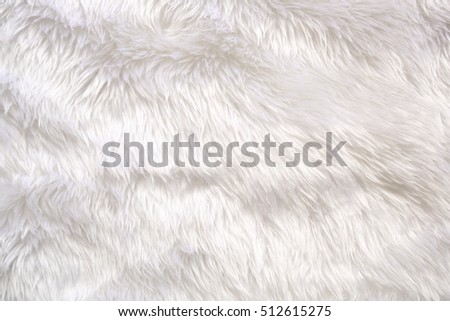 fur background. Close up