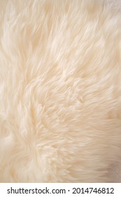  fur background. real wool.  Warm fluffy fur background . fur fabric texture