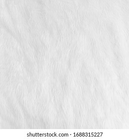 Fur Background With White Soft Fluffy Furry Texture Hair Cloth Of Sheepskin For Blanket And Carpet Interior Decoration