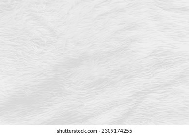 Fur background with white soft fluffy furry texture hair cloth of sheepskin for blanket and carpet interior decoration - Shutterstock ID 2309174255