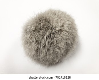 Fur Ball