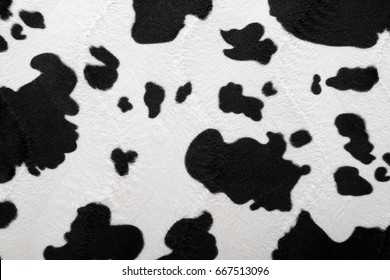 fur carpet with black cow skin pattern background