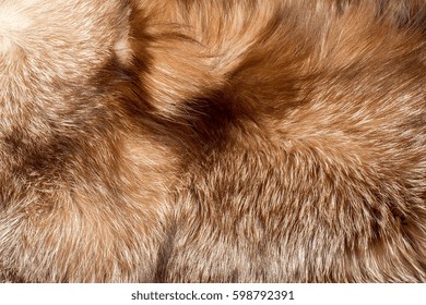 Fur. The Coat Of The Animal. The Fur Of The Animal. Texture Background. Fox Fur