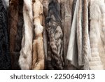 Fur coats texture background. Colorful, different, luxury and soft winter fashion hanging on rack at store. Vintage coats made of animal fur. Mink, rabbit, fox and sheep fur. Close up
