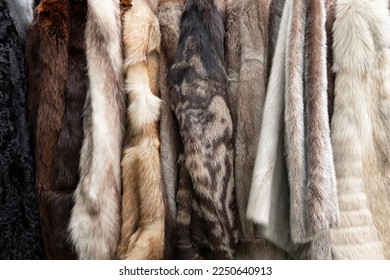Fur coats texture background. Colorful, different, luxury and soft winter fashion hanging on rack at store. Vintage coats made of animal fur. Mink, rabbit, fox and sheep fur. Close up