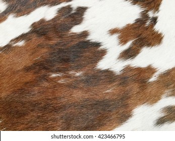 Cow Leather Images Stock Photos Vectors Shutterstock