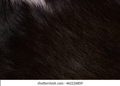 Fur Cow Leather Texture Background