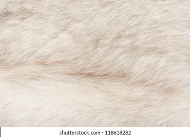 50,757 Gray fur texture Images, Stock Photos & Vectors | Shutterstock