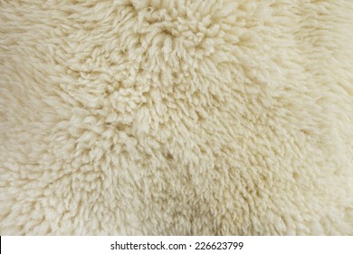 Fur Texture Old White Sheepskin