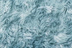 Fur Texture Top View. Blue Fur Background. Fur Pattern. Texture Of Turquoise Shaggy Fur. Wool Texture. Flaffy Sheepskin Close Up
