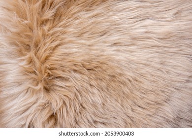 Fur texture top view. Brown fur background. Fur pattern. Texture of brown shaggy fur. Wool texture. Flaffy sheepskin close up
				