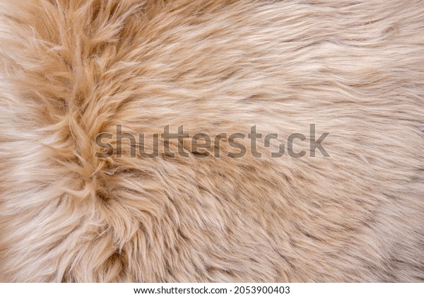 Fur texture top view. Brown fur background. Fur
pattern. Texture of brown shaggy fur. Wool texture. Flaffy
sheepskin close up

