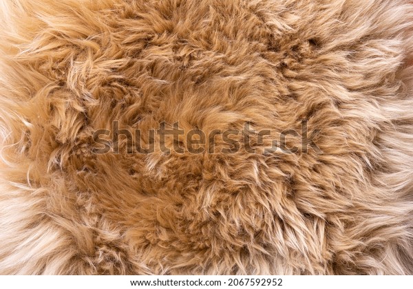 Fur texture top view. Brown fur background. Fur\
pattern. Texture of brown shaggy fur. Wool texture. Flaffy\
sheepskin close up\
