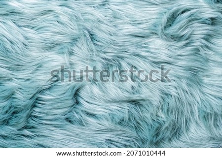 Fur texture top view. Turquoise fur background. Fur pattern. Texture of turquoise shaggy fur. Wool texture. Flaffy sheepskin close up