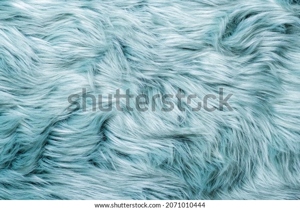 Fur texture top view. Turquoise fur background. Fur\
pattern. Texture of turquoise shaggy fur. Wool texture. Flaffy\
sheepskin close up\
