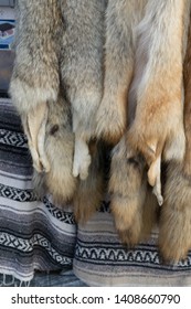 Fur Trader Furs Of Coyote Hanging For Sale With Native Blankets