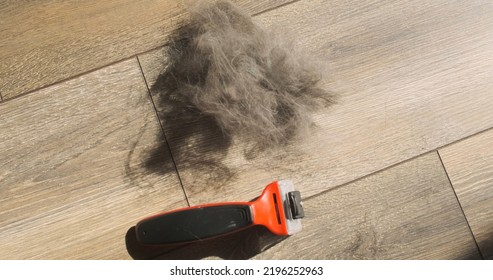 Furminator And A Ball Of Cat Hair Are On The Floor. View From Above. The Concept Of Grooming For Pets, Grooming Services, Combing Cats.