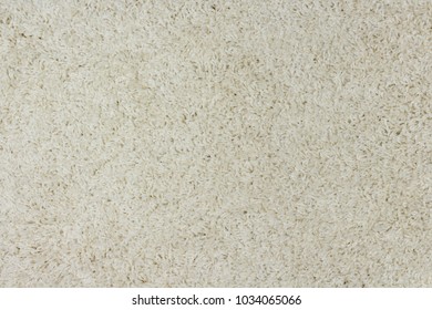Furry carpet texture
