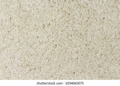 Furry carpet texture