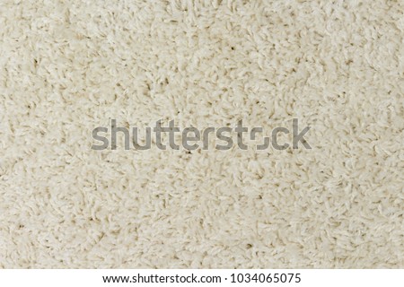 Furry carpet texture